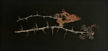 Heecha, Untitled, 0, 0