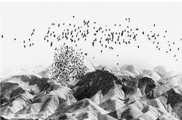 Photography, Abbas Kiarostami, Untitled, , 23078