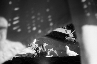 Photography, Kimia Askarian, Untitled, 2021, 76101