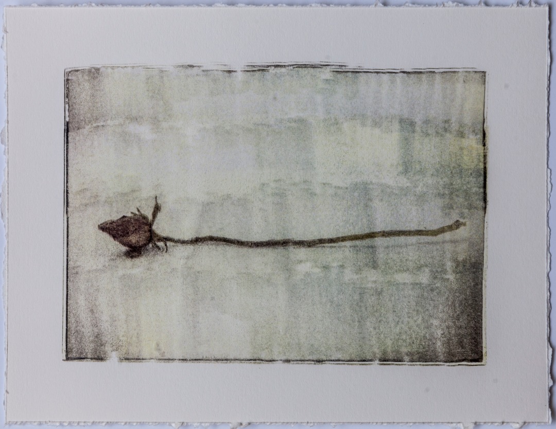 Sasan Abri, Untitled, 2019