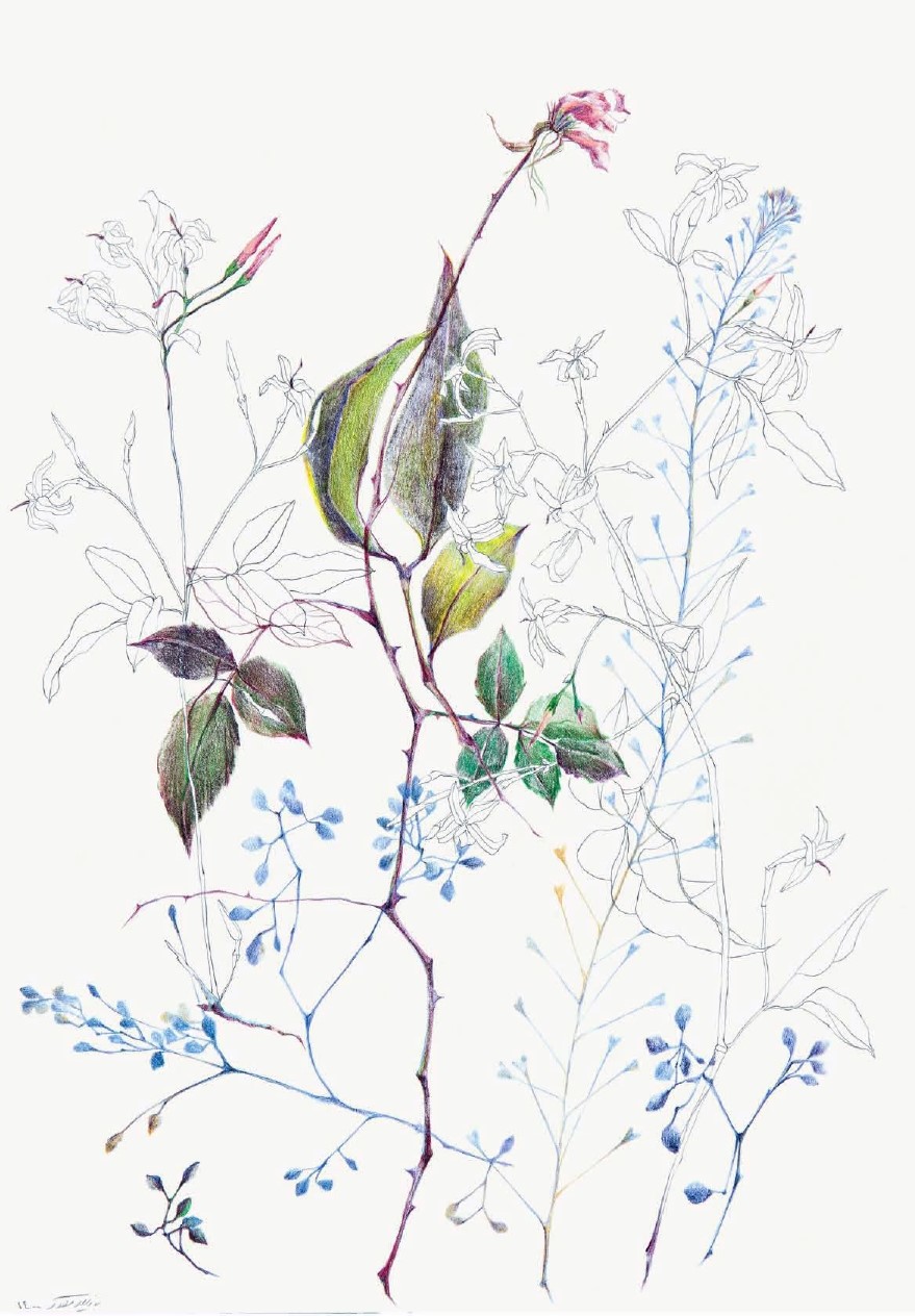 Nazila Moghadam, Untitled, 2021