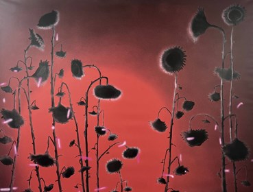 Sam Nejati, Heresy, 0, 0