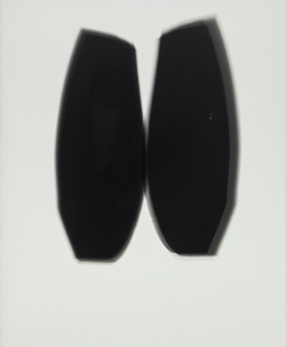 شری هوسپیان