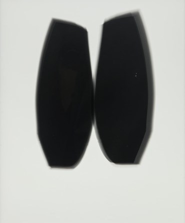 شری هوسپیان