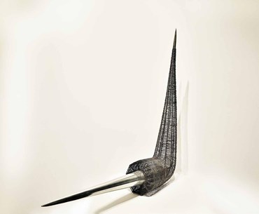 , Mona Aghababaei, Process of Swallowing , 2013, 81915