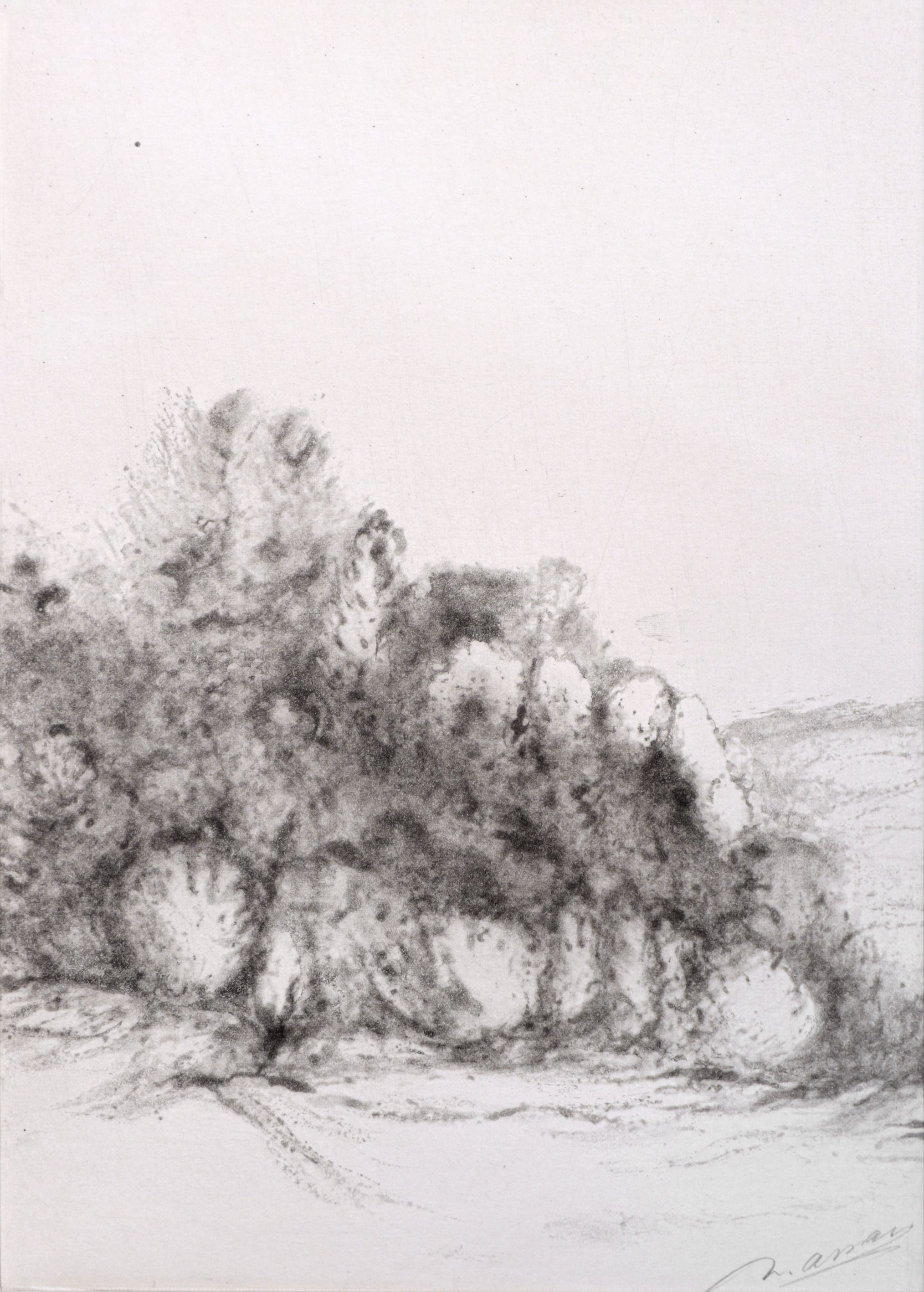 Nasser Assar, Untitled, 0