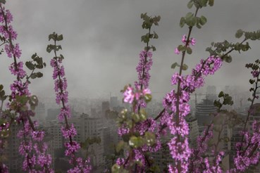 Rasa Hezarkhani, Untitled, 2018, 0