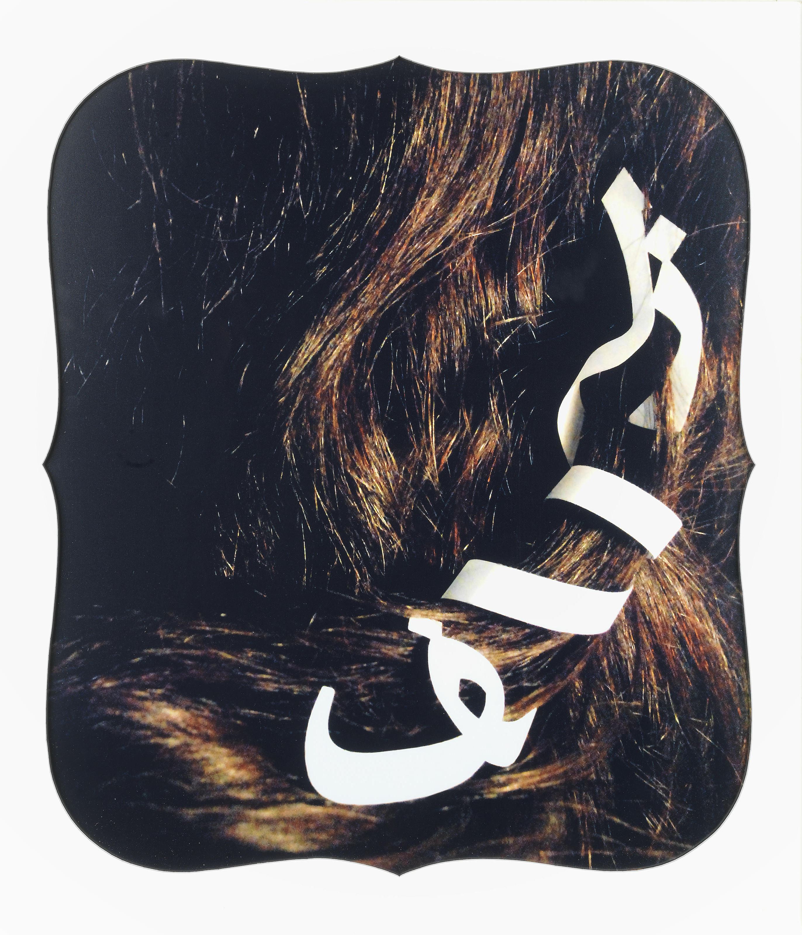 Shahrzad Changalvaee, Zolf, 0