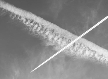 Mohsen Shah Mohammad Mirab, Untitled, 0, 0