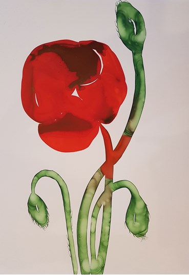 Painting, Ahoo Hamedi, Oriental Poppy, 2022, 64708