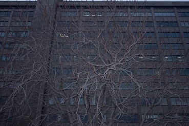 Rasa Hezarkhani, Untitled, 2018, 0