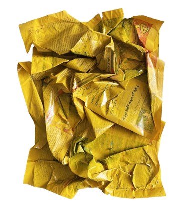 , Oranous Afsharian, What’s Going on in the World Today!, 2021, 72392