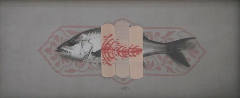 Amin Montazeri, Untitled, 2024