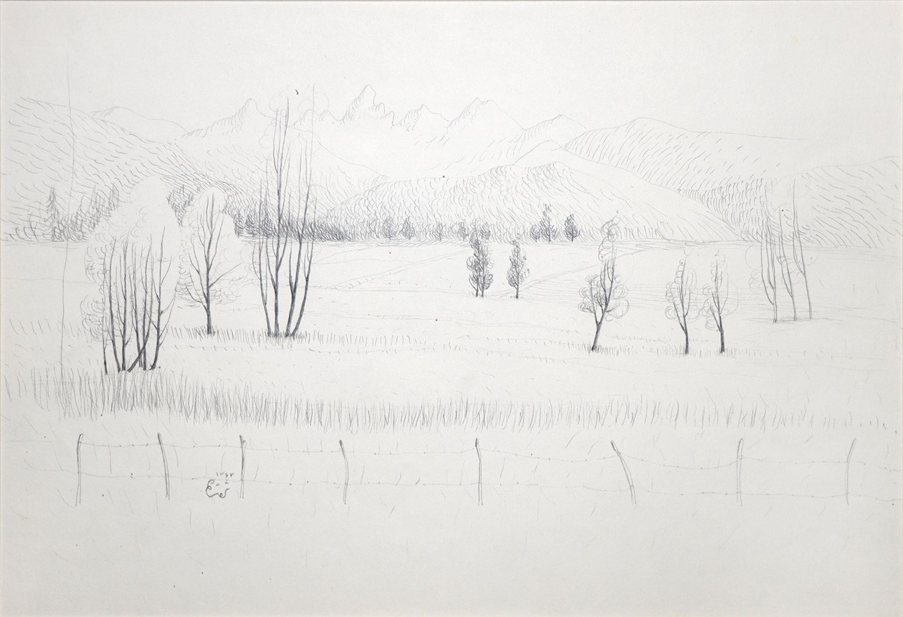 محمدعلی ترقی جاه