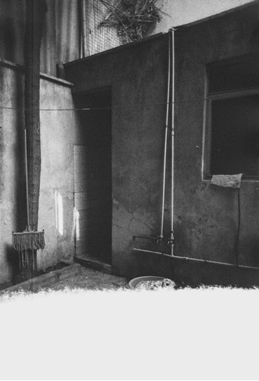 Narges Ranjbar, Untitled, 2024, 0