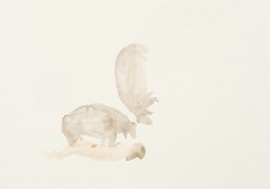 home-scroll-8-1