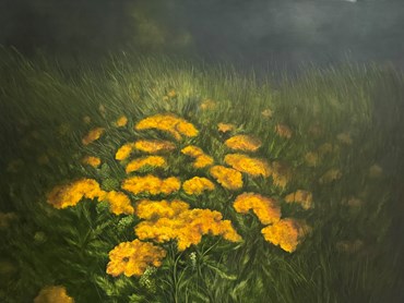 , Sara Khaleghi, Untitled, 2025, 83362