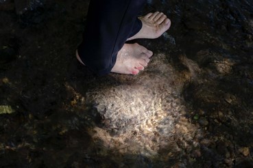 Mahtab Ghaedi, Untitled, 0, 0