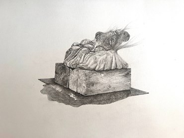 Nazanin Behzadi, Untitled, 0, 15087