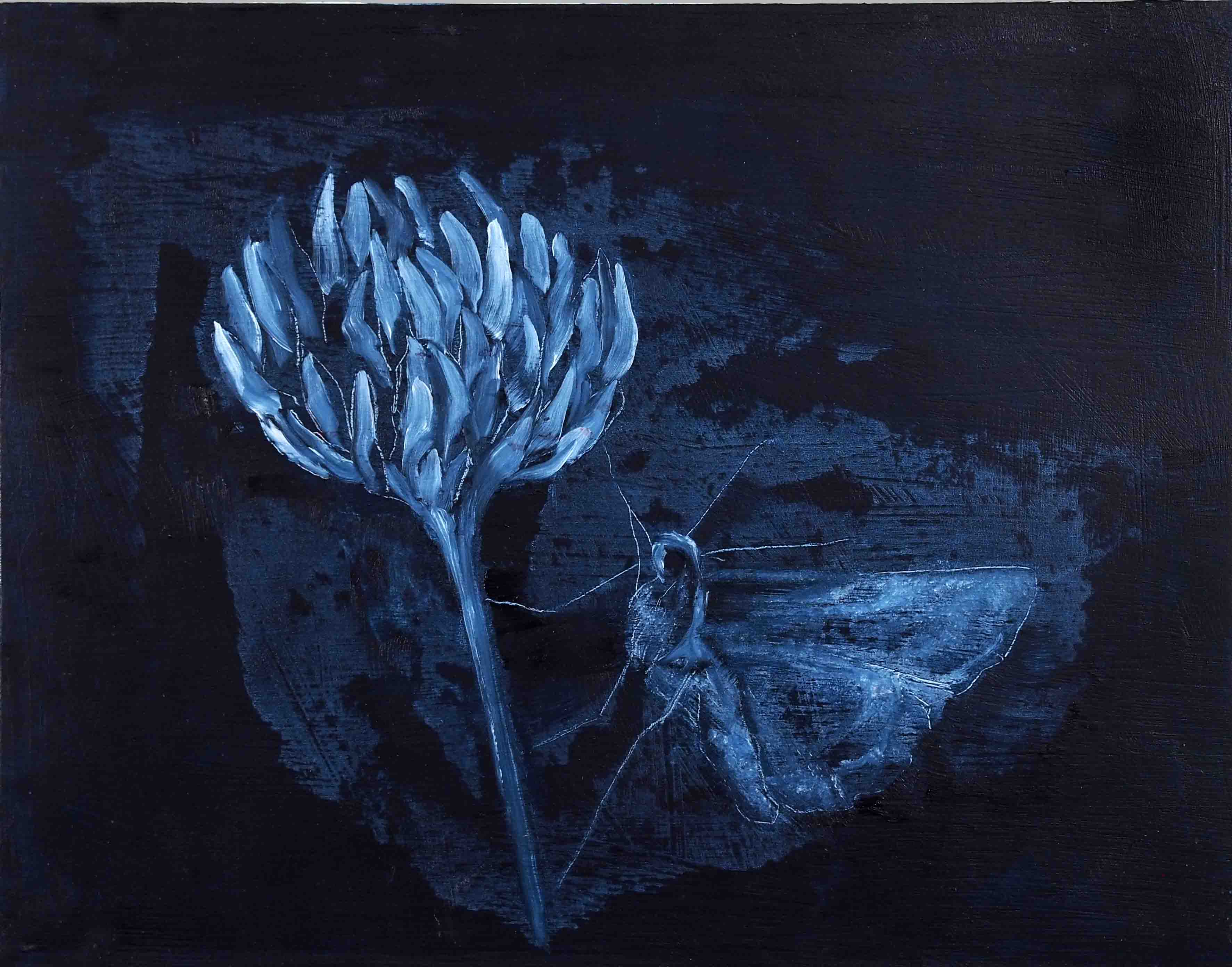 Avish Khebrezadeh, Moth II, 2014