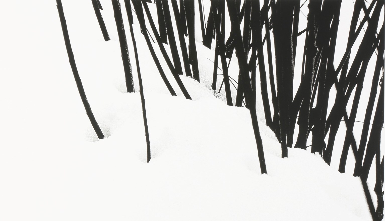 عباس کیارستمی