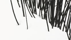 عباس کیارستمی