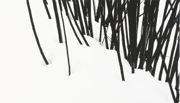 Photography, Abbas Kiarostami, Untitled, 2005, 75668