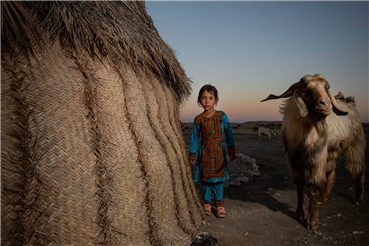 Pouria Torabi, Untitled, 0, 0