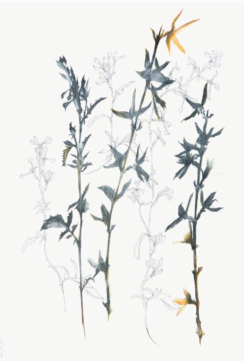 Nazila Moghadam, Untitled, 2020