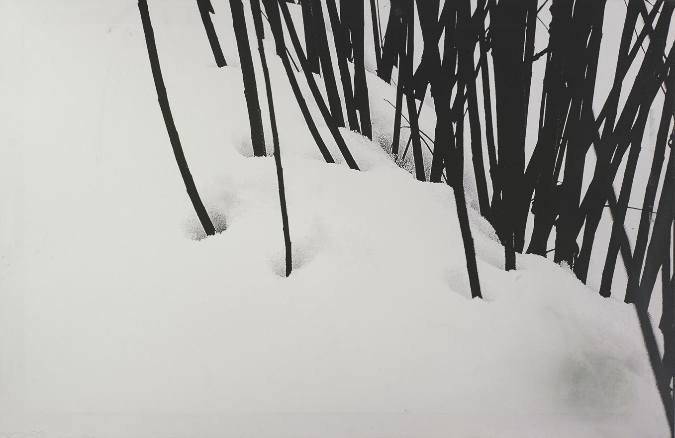 Abbas Kiarostami