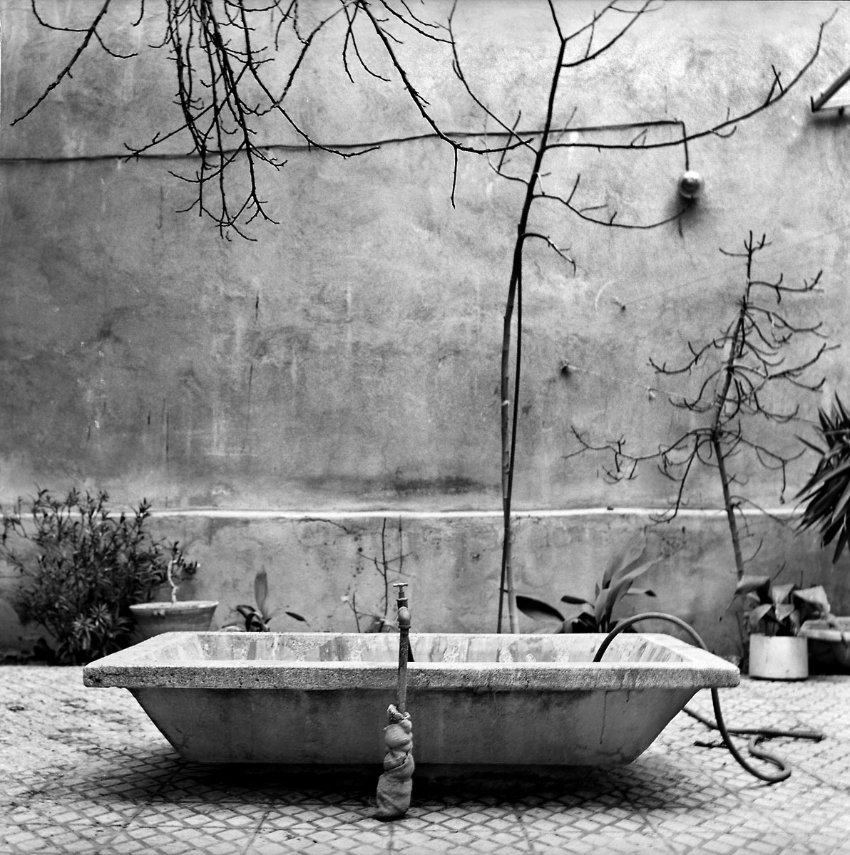 Shahryar Tavakoli, Untitled, 0
