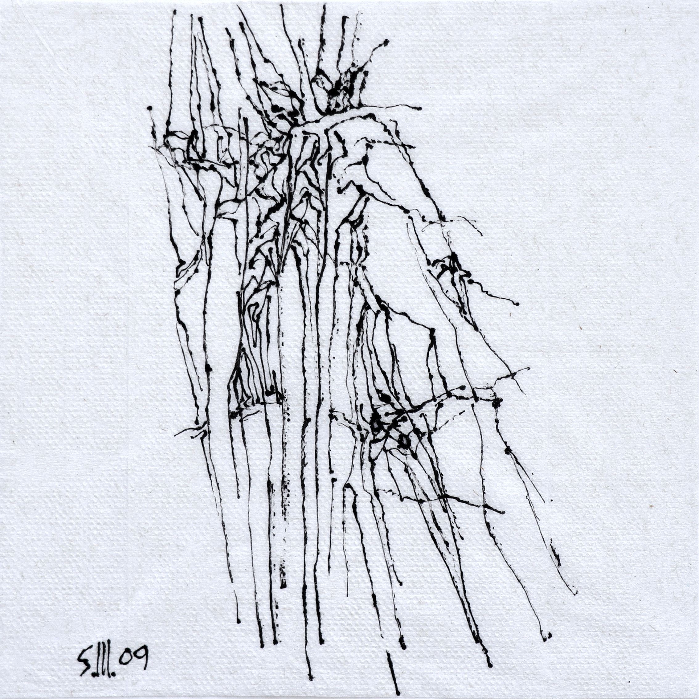Sirak Melkonian, Untitled, 2009