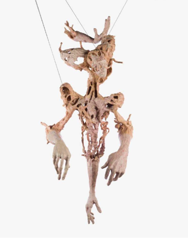 , Morteza Motaghi, Untitled, 2017, 78133