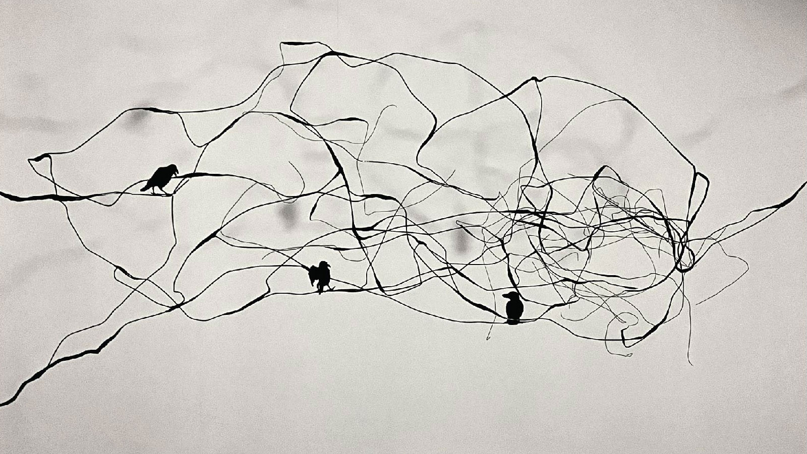 Fatemeh Safari, Untitled, 0