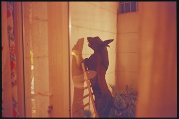 Photography, Pouya Parsamagham, Untitled, , 83791