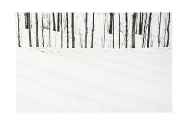 Photography, Abbas Kiarostami, Untitled, 2005, 75704