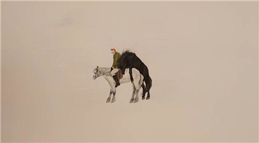 Marjan Saeidi, Horses, 2019, 0