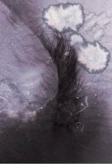 , Eugine Flochel Jahanshahi, Lacrima V, 2025, 82923