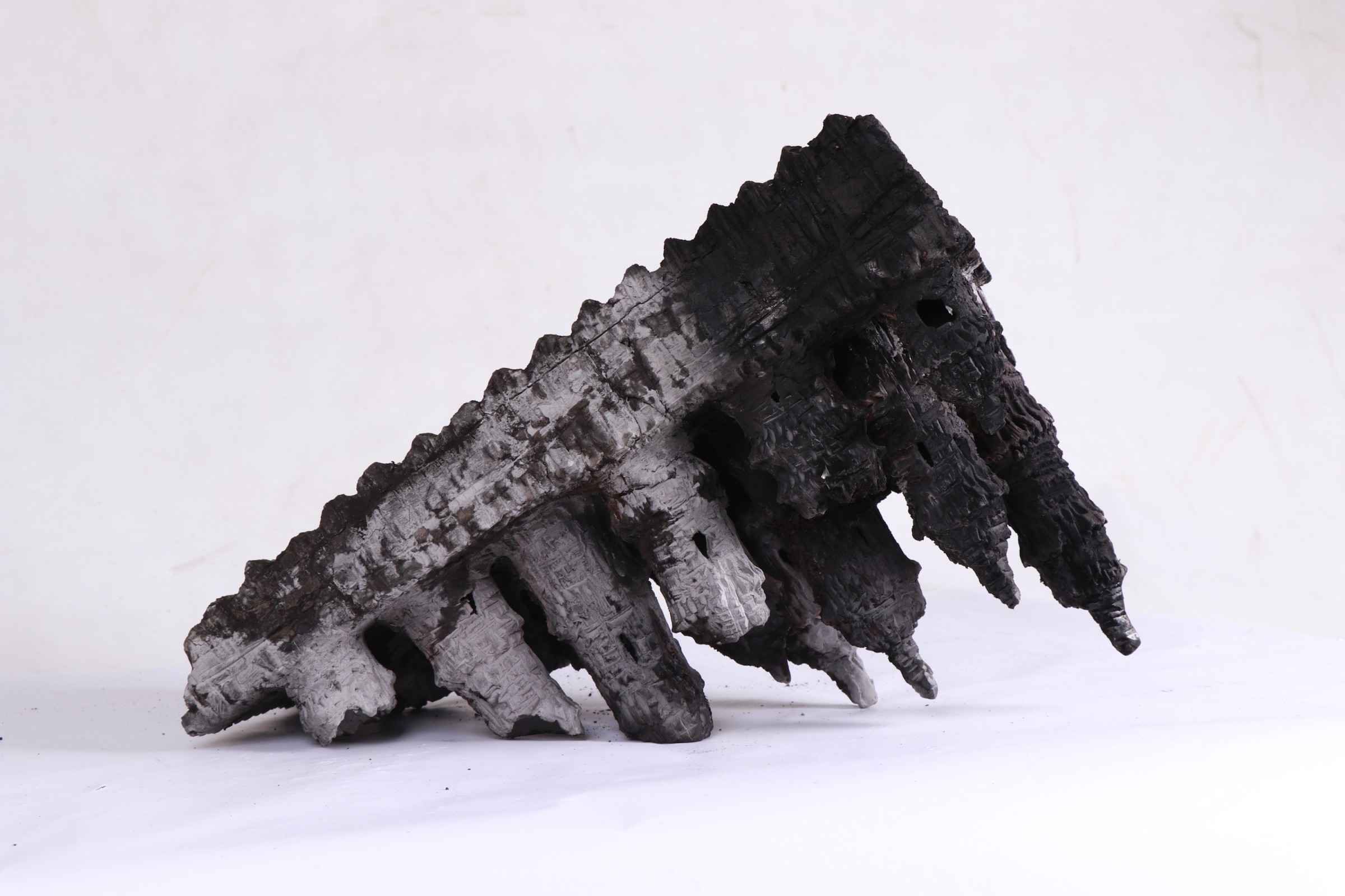 Mohammad Piryaee, Untitled, 2019