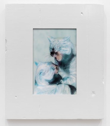 Painting, Shahryar Nashat, Untitled, 2026, 83630