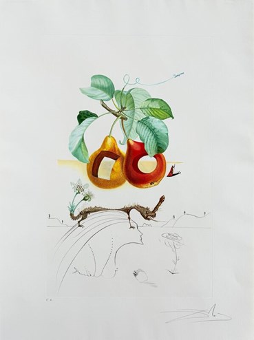 , Salvador Dali, Holed Fruit from Flordali Suite, 1969, 80380