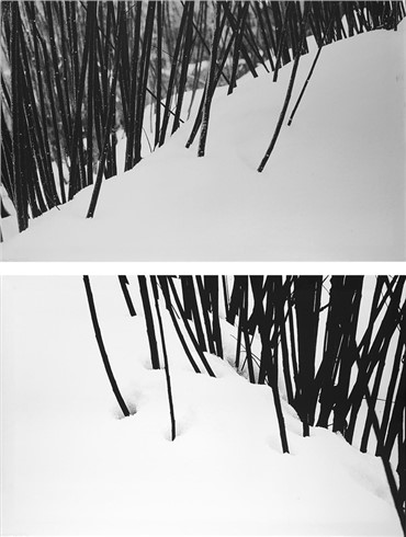 Print and Multiples, Abbas Kiarostami, Snow No. 50-51, 2003, 18606
