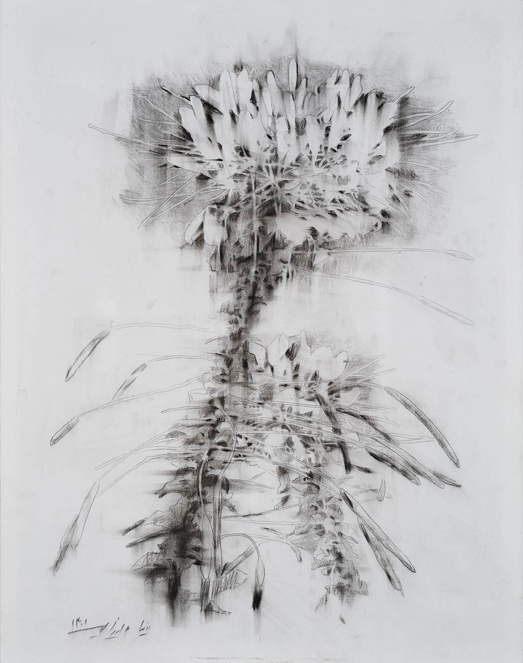 Mina Ghaziani, Untitled, 2022