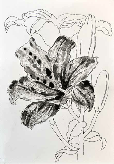 Shirin Karami Mofrad, Untitled, 2024, 0