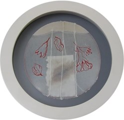 home-scroll-7