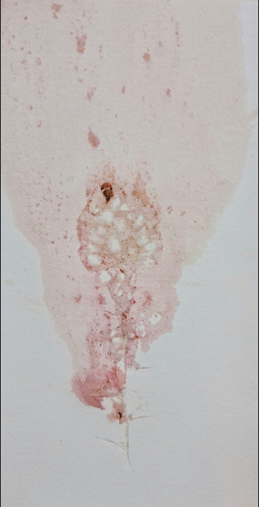 Heecha, Untitled, 0, 0