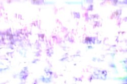 home-scroll-8-1