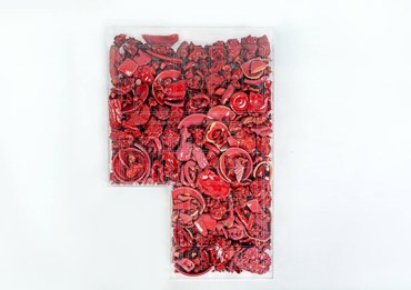 Mehrdad Aboutalebi, Camp, 2024, 0