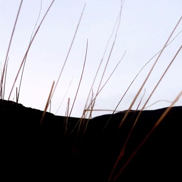 Photography, Kimia Askarian, 18 March 2022, 2023, 76080