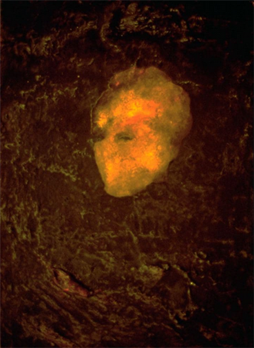 Yari Ostovany, Metanoia 2, 1996, 0